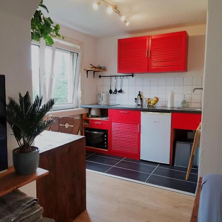 Modernes kleines Studio am Uni-Campus - Perfekt für Junge und Unternehmungslustige Dresden Exterior foto