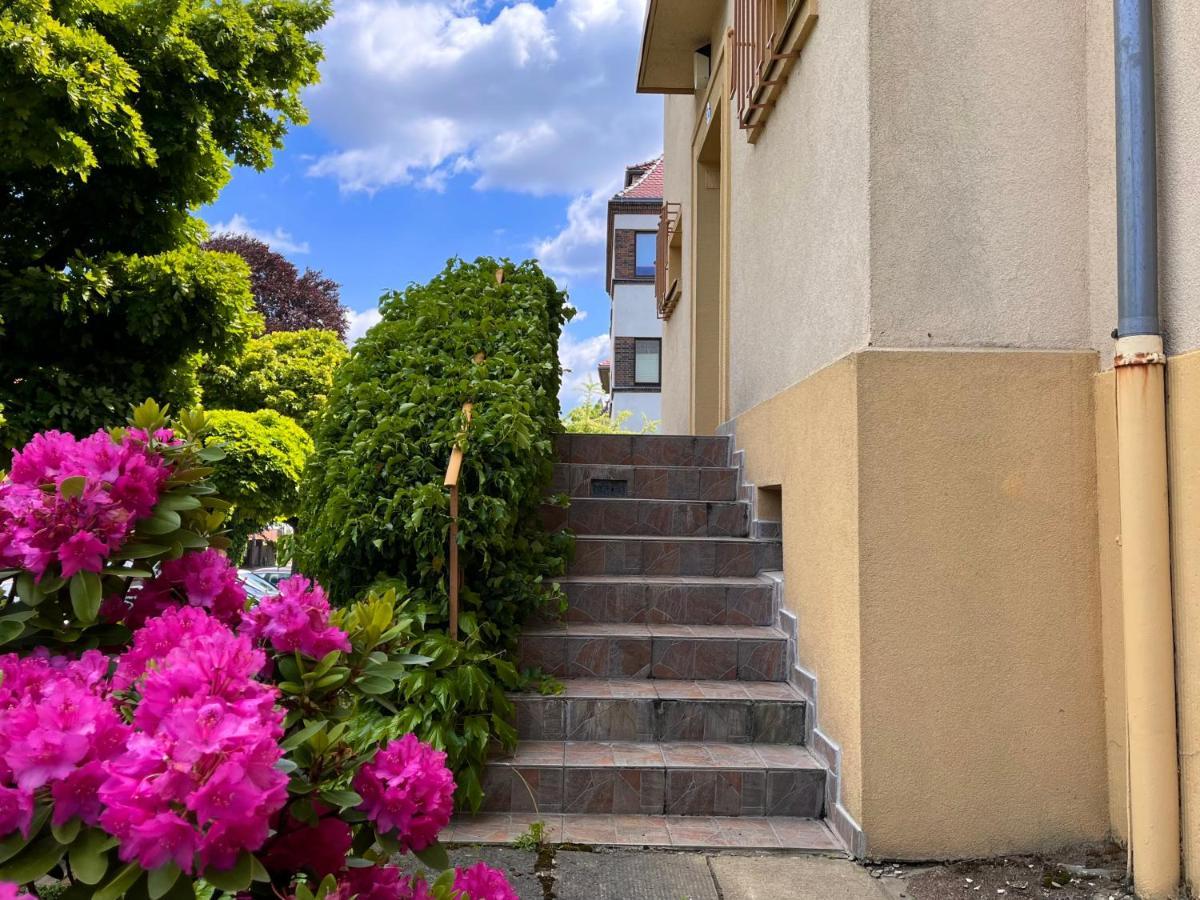 Modernes kleines Studio am Uni-Campus - Perfekt für Junge und Unternehmungslustige Dresden Exterior foto